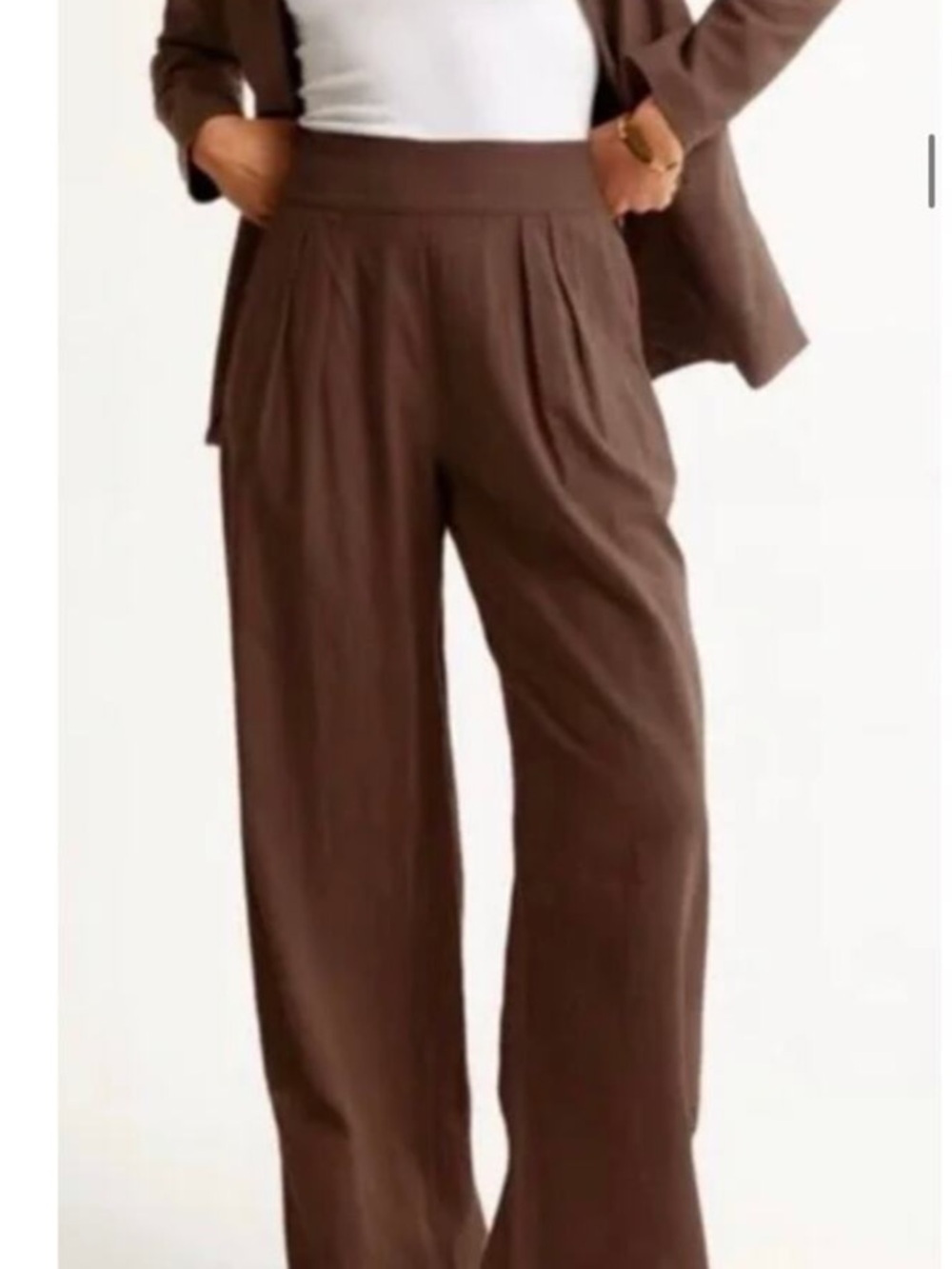Abercrombie & Fitch Chocolate Brown Wide-Leg Pleated Pants